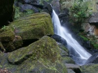 Cascade 1