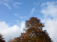 Chatsworth estate