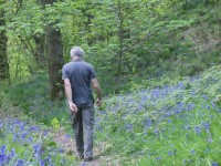 Chris in bluebell woods