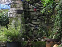 Garden courtyard