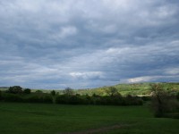 Lush green of the light peak