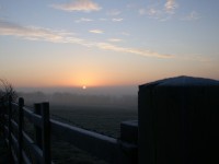 Setting sun on frost