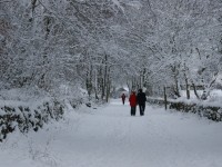 Snowy high peak trail