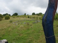 Stony wood sculpture